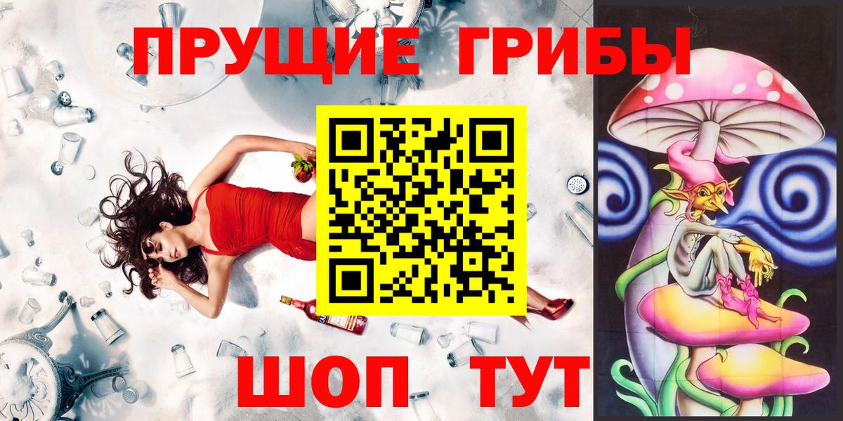 Псилоцибиновые грибы Psilocybine cubensis  Вход с VPN  Шали 
