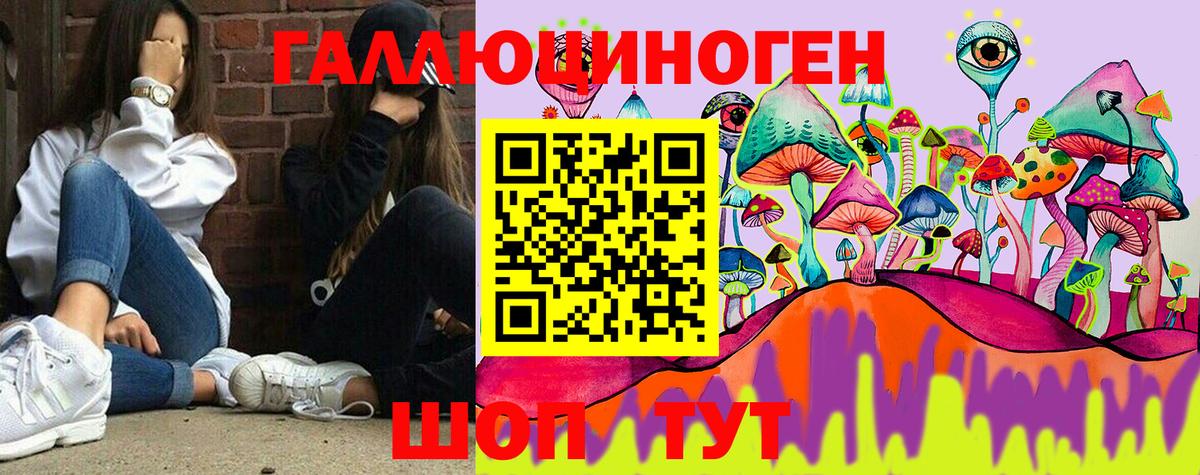 Псилоцибиновые грибы Cubensis Шали
